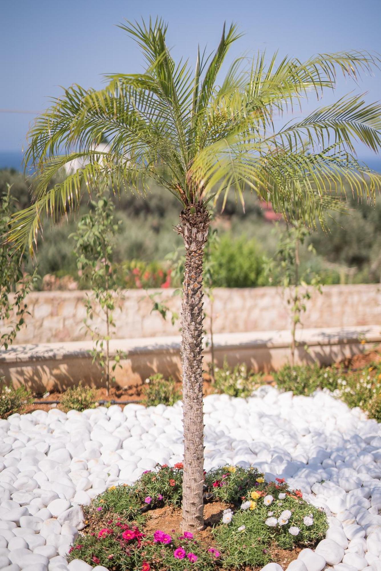 Koukos Villas Stalós Kamer foto
